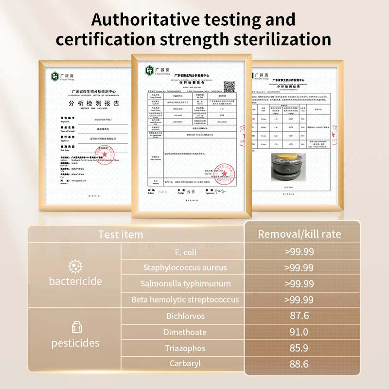 Fruit and Vegetable Washing Machine Magnetic Charge Fruit and Vegetable Cleaner with OH-ion Clean Technology