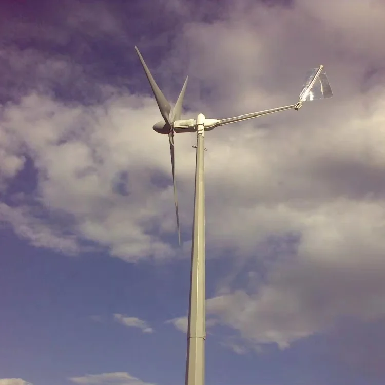 HENRYD 1000W wind mill 24V 48v 120v 240v Horizontal Wind Turbine Generator 1KW