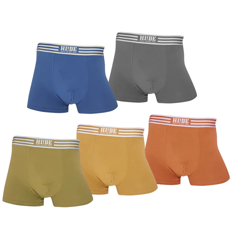 Wholesale Breathable Men Boxer Briefs Sexy Thin Underpant Cotton Modest Teen Silk Print Panties for Adults with Custom Logo