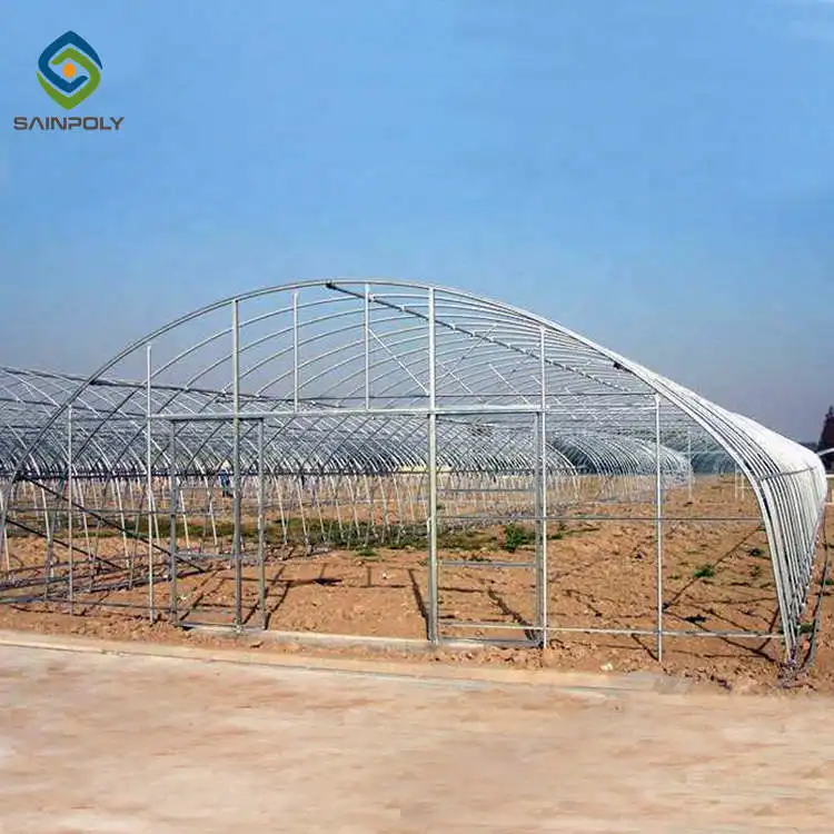 JDYApoly low cost mini poly tunnel agriculture green house vegetable high polythene tunnel garden greenhouse for tomato