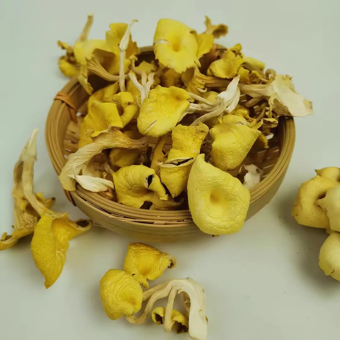 Detan Wholesale price dried chanterelle mushrooms in bulk with high quality