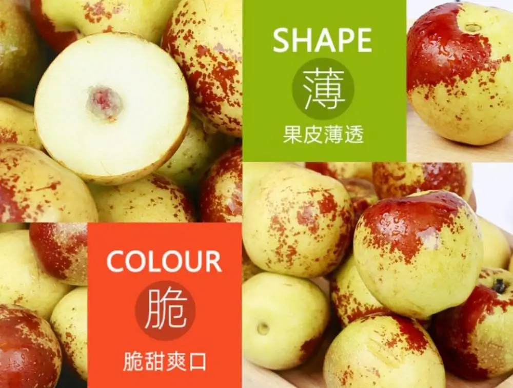 
Chinese Famous Fresh Jujube /Dates Fruits Winter jujube from Shaanxi 