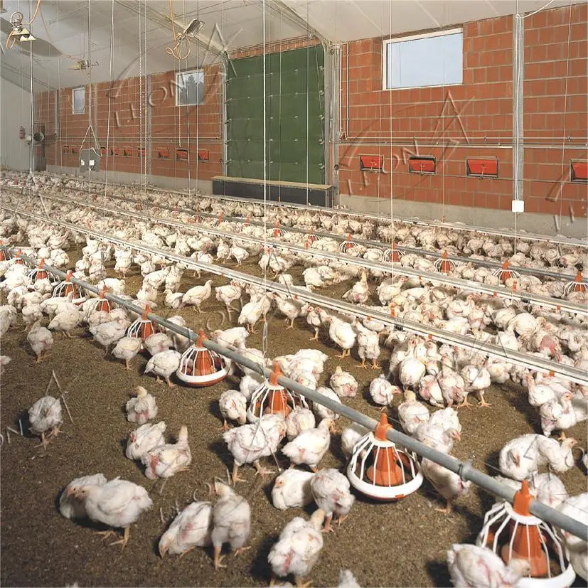 Low Price Automatic Broiler Cheken Farm Poultry Equipment Chicken House for Animal Poultry Husbandry