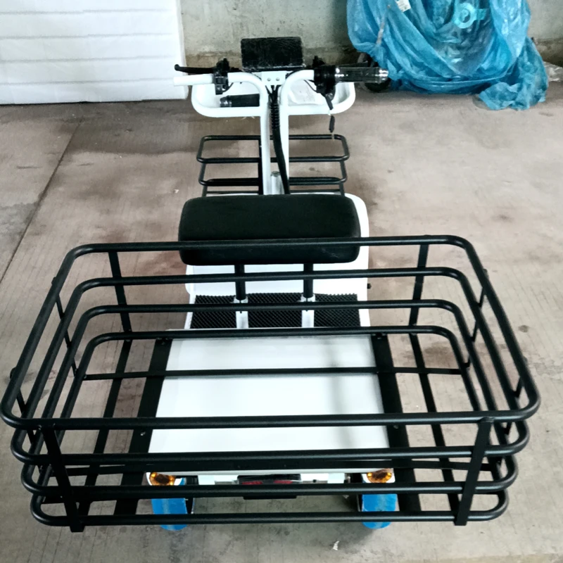 Big Power Heavy Duty Electric Cargo Vehicle 1000W High Speed Four Wheel Cargo Bike Truck Cargo Tricycle