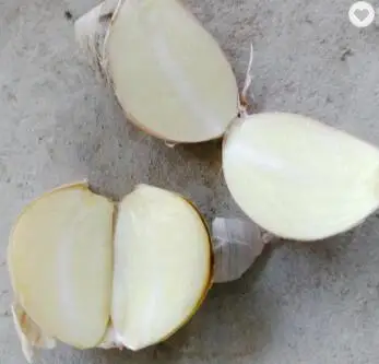 Чистый белый свежий чеснок китайский чеснок