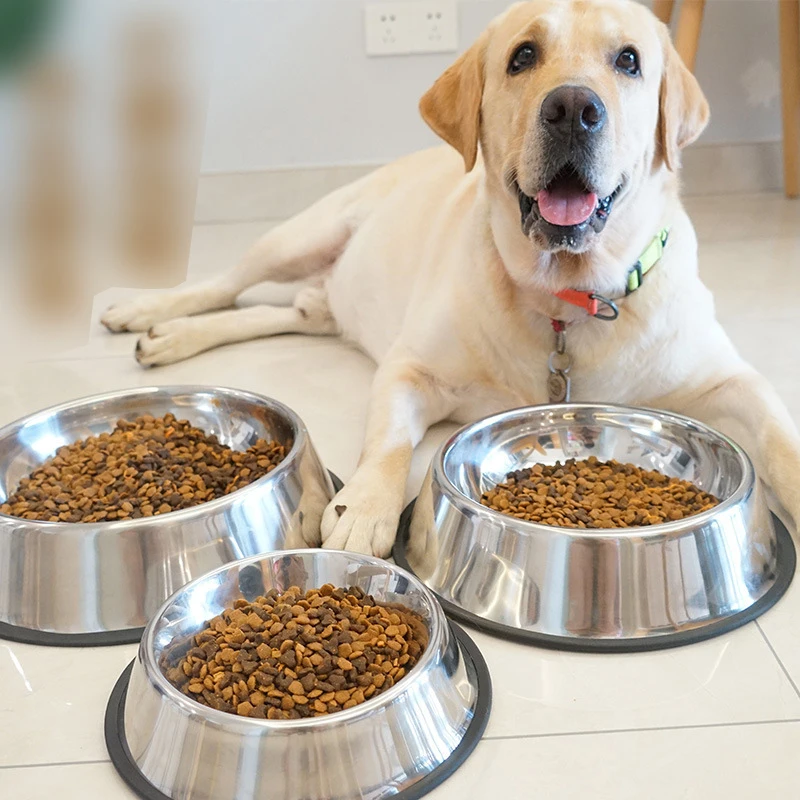 Relaxlines Personalized Wholesale Custom Logo Double Wall Insulated Stainless Steel Matel White Round Slow Feed Pet Dog Food Bow