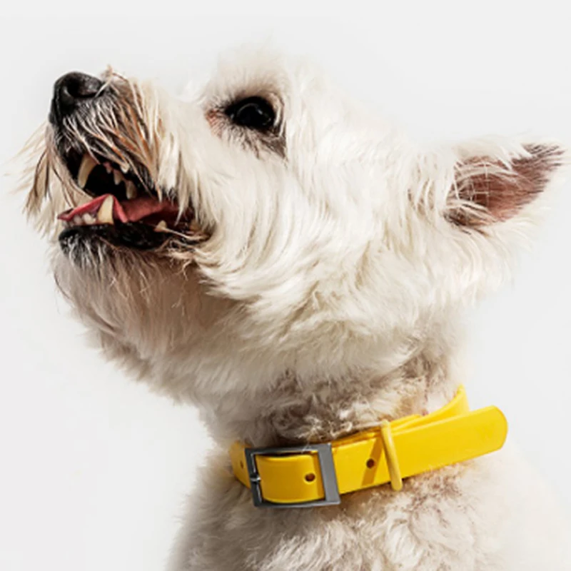 Hot selling macaroon color pet dog collars solid waterproof soft PVC noble dog collar necklace