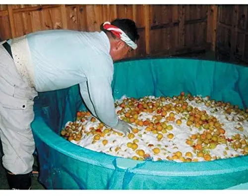 Plum relieves tension and fatigue Japanese pickles drying fruit