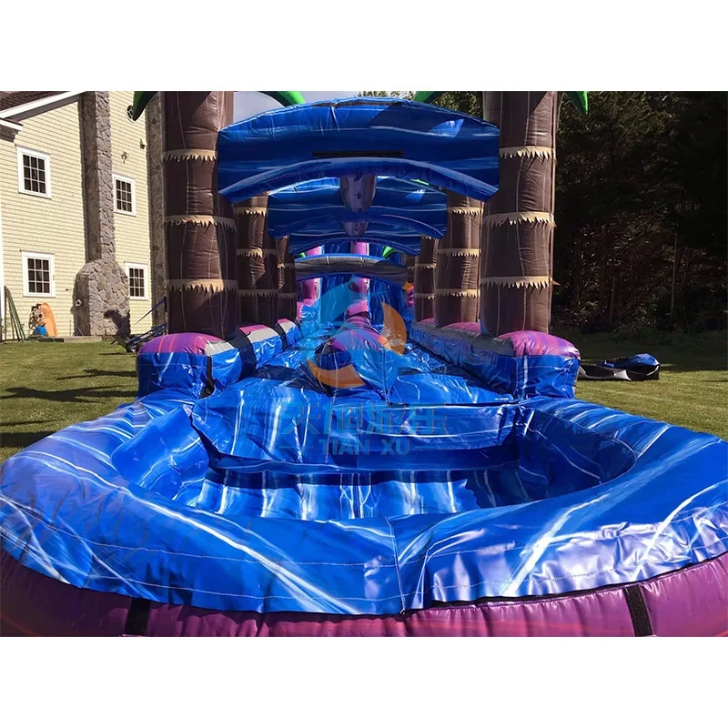 Tropical Purple Lightning Dual Lane Water Slide 30Ft Rapid Crush Plunge Custom Size PVC Indoor/Outdoor Monster Inflatable Pool