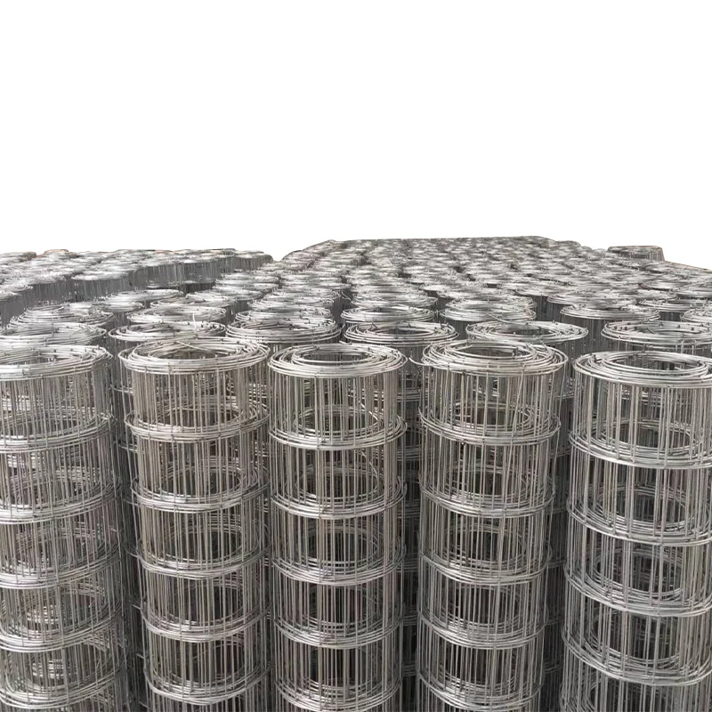 Крупный запас сварной проволочной сетки оцинкованная Антикоррозийная электрооцинкованная
