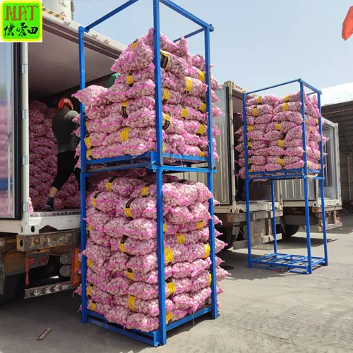 Hot sale  5.5cm Organic fresh natural garlic wholesale high quality 3p/5p small package China garlic export with GLOBAL GAP