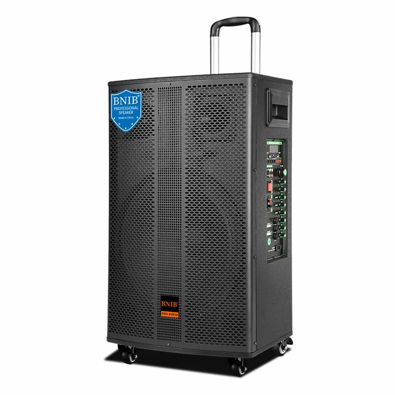 2022 New Speakers ODM Amplifier Speakers Outdoor Big Speaker Sound System For Stage Performance Wholesale