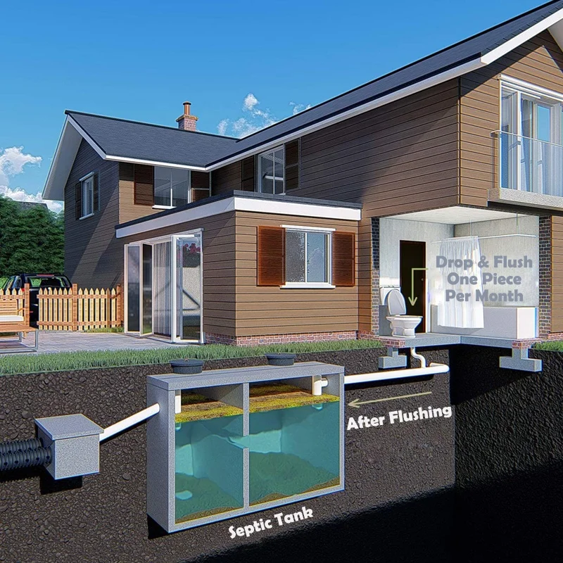 Advanced Septic Tank Treatment Packs to Prevent Septic Problems | Built-in Plant Based Enzymes