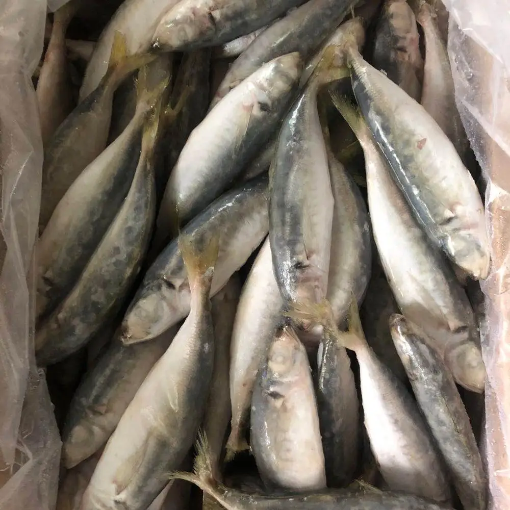 Замороженная круглая скумбрия, тайский рынок