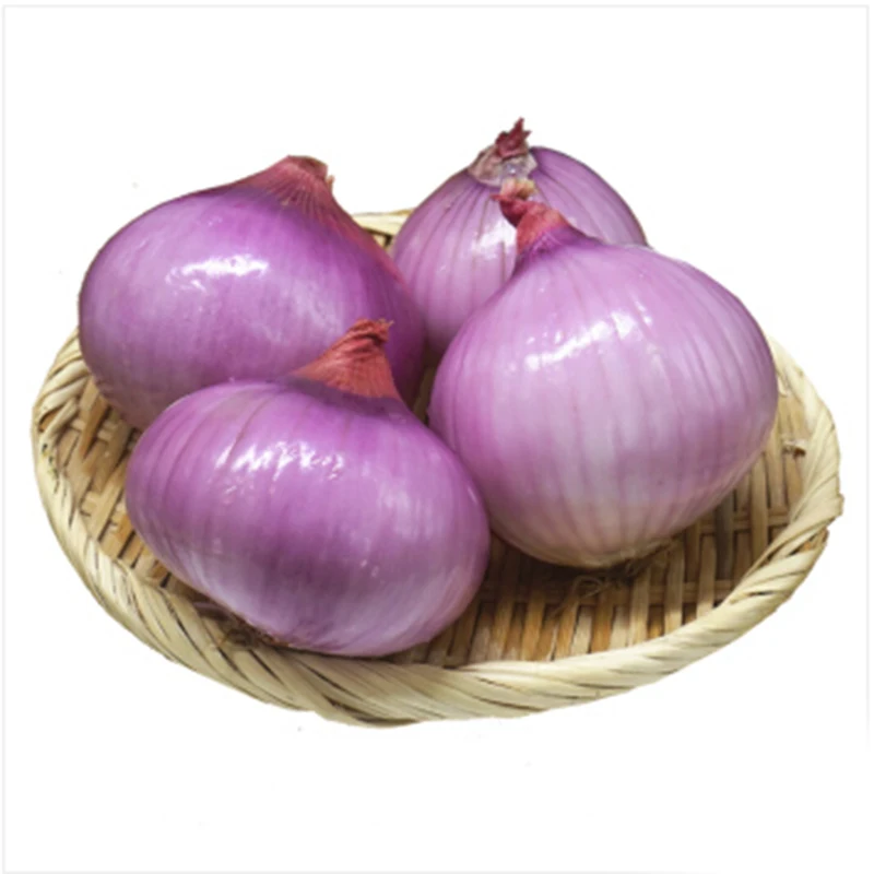 
new crop Chinese onions with bulk cheap onion 