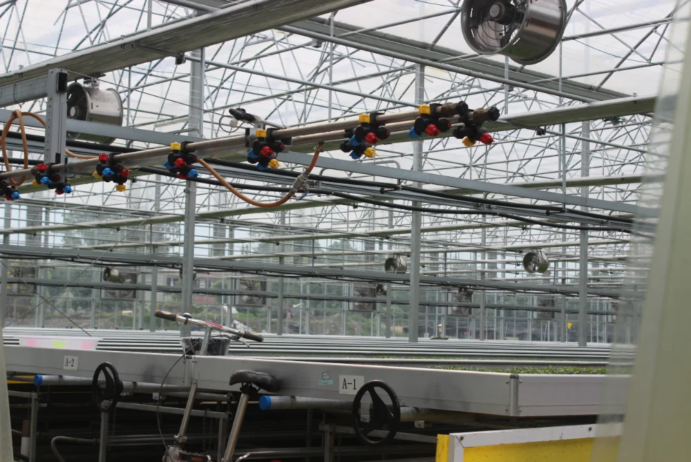 
Hot sale commercial glass greenhouse shade green house for plants/vegetable/flowers 