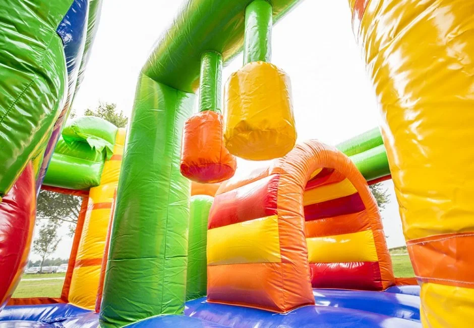 2021 New arrival inflatable lion jumper combo popular bouncy castle slide cute tiger commercial slide bouncing castle for rental