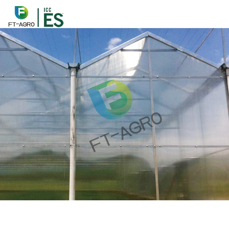 China Manufactured Agriculture Hydroponic Growing Systems Eco Friendly Waterproof PC Sheet Greenhouse