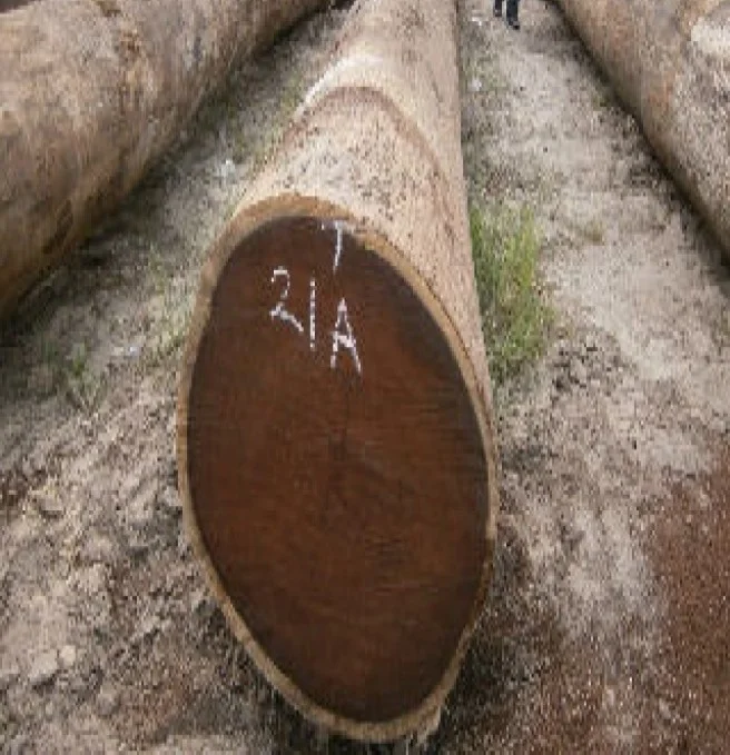 wood logs timber teak wood logs sawn timber African hard wood timber birch white pine logs