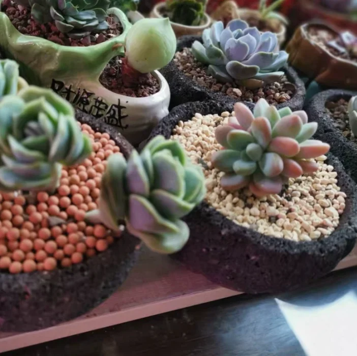 volcanic lava rock pumice basalt stone for sale