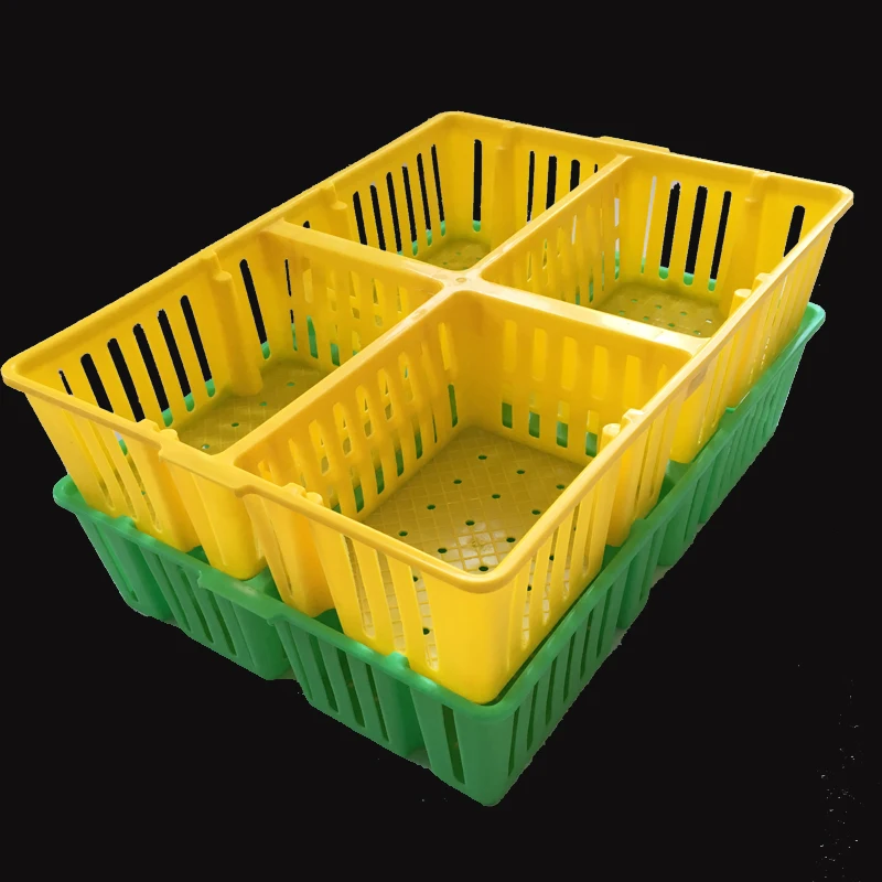 Farm cheap chick young bird transport box basket