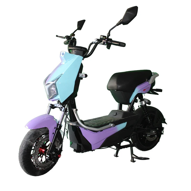 Paige 2024 New Style Hot Sell Long Distance Electric Assistant Bicycle Battery For Kids Ebike Motorcycle E-Bike Yachi