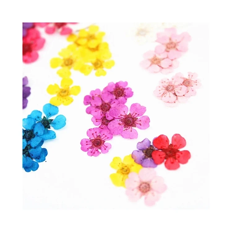 Высококачественные комбинированные пакеты, Натуральные сушеные прессованные цветы «сделай сам» для украшения