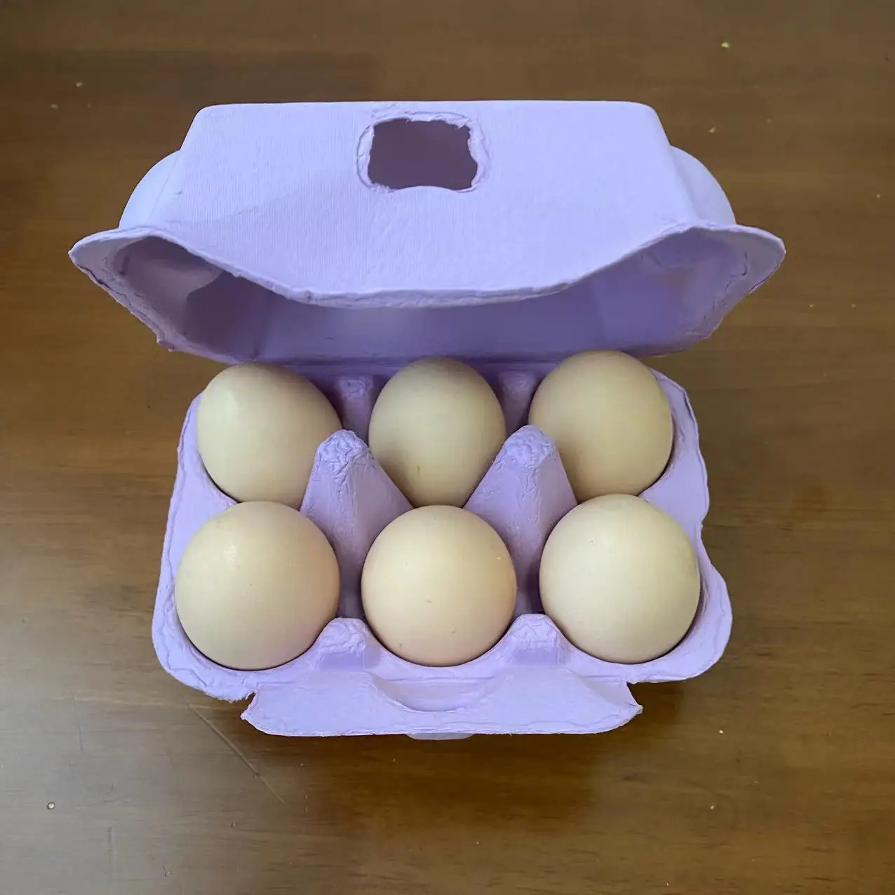 Best Selling Disposable Bio-Degradable Foam Egg Tray 6/8/10/12/15/30 Cells Recyclable Factory Wholesale Food Packaging Storage