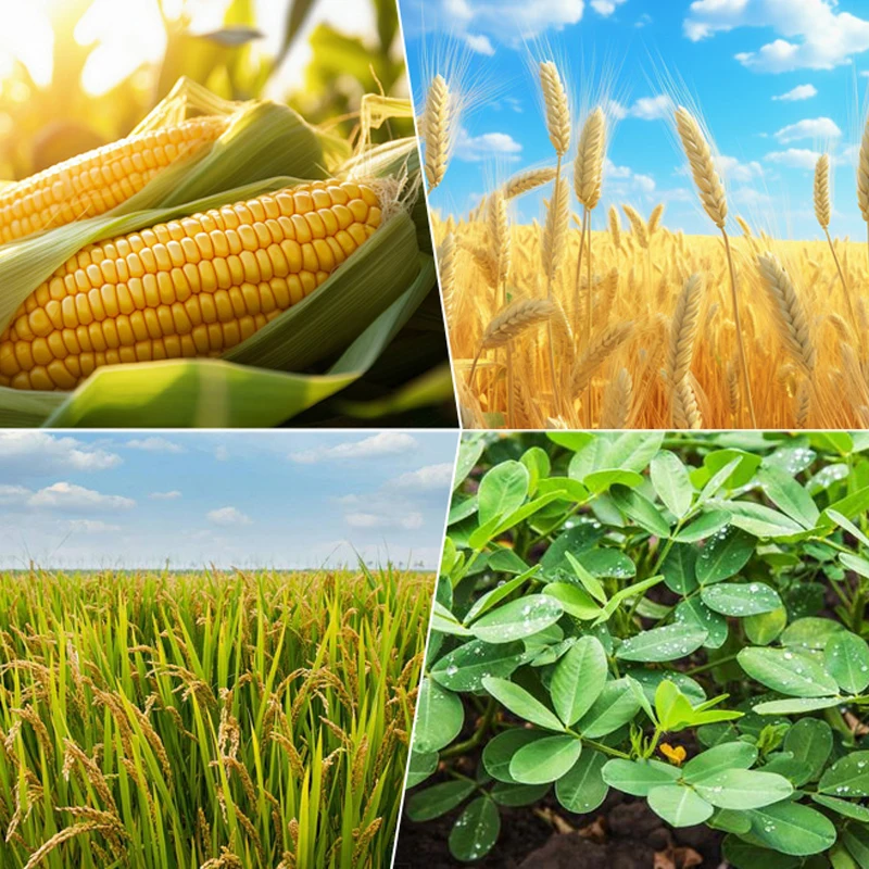 Npk Water Soluble Fertilizer Npk 18 17 5 Nitrogen Phosphorus And Potassium Compound Fertilizer Agriculture