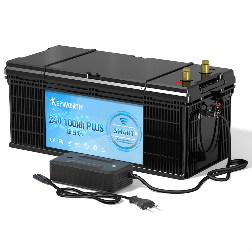 12V 24V LiFePO4 100Ah 200Ah 300Ah литий-ионный фосфатный аккумулятор для солнечной энергетической системы OEM солнечная батарея