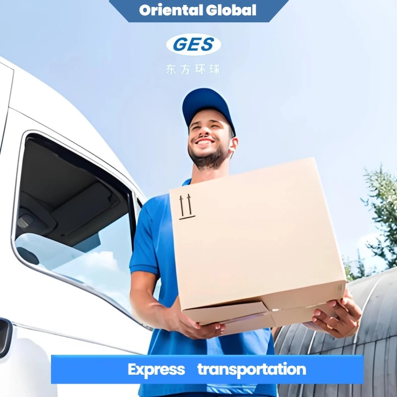 cif sea freight forwarder china to US