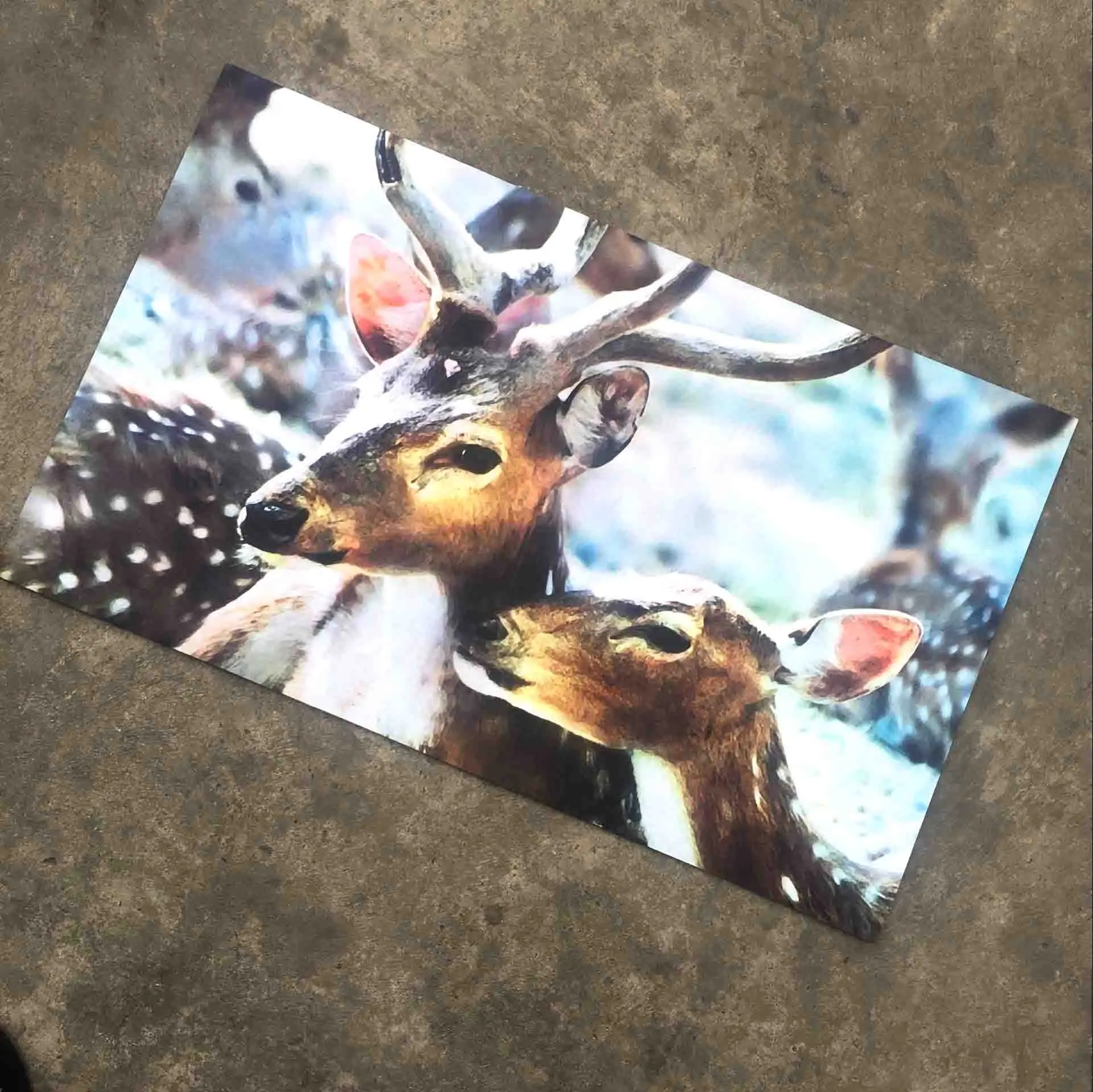 Bulk Wholesale Sublimation Blank Neoprene Rubber Door Mats