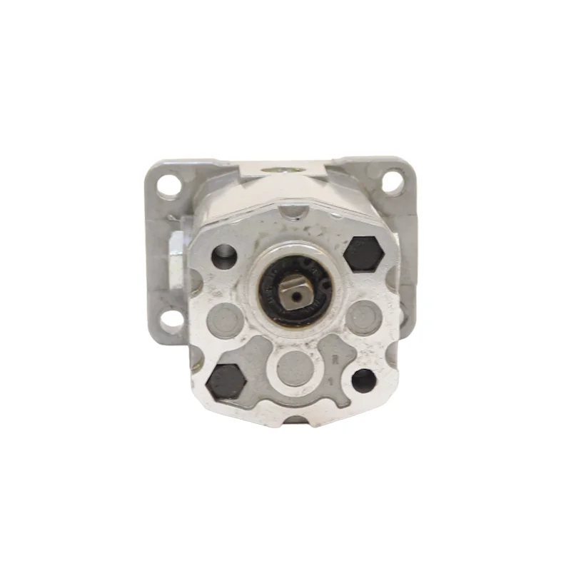 Chinese Manufacturer BKP0.5 0.19ml/r--2.00ml/r Micro Hydraulic Gear Pump