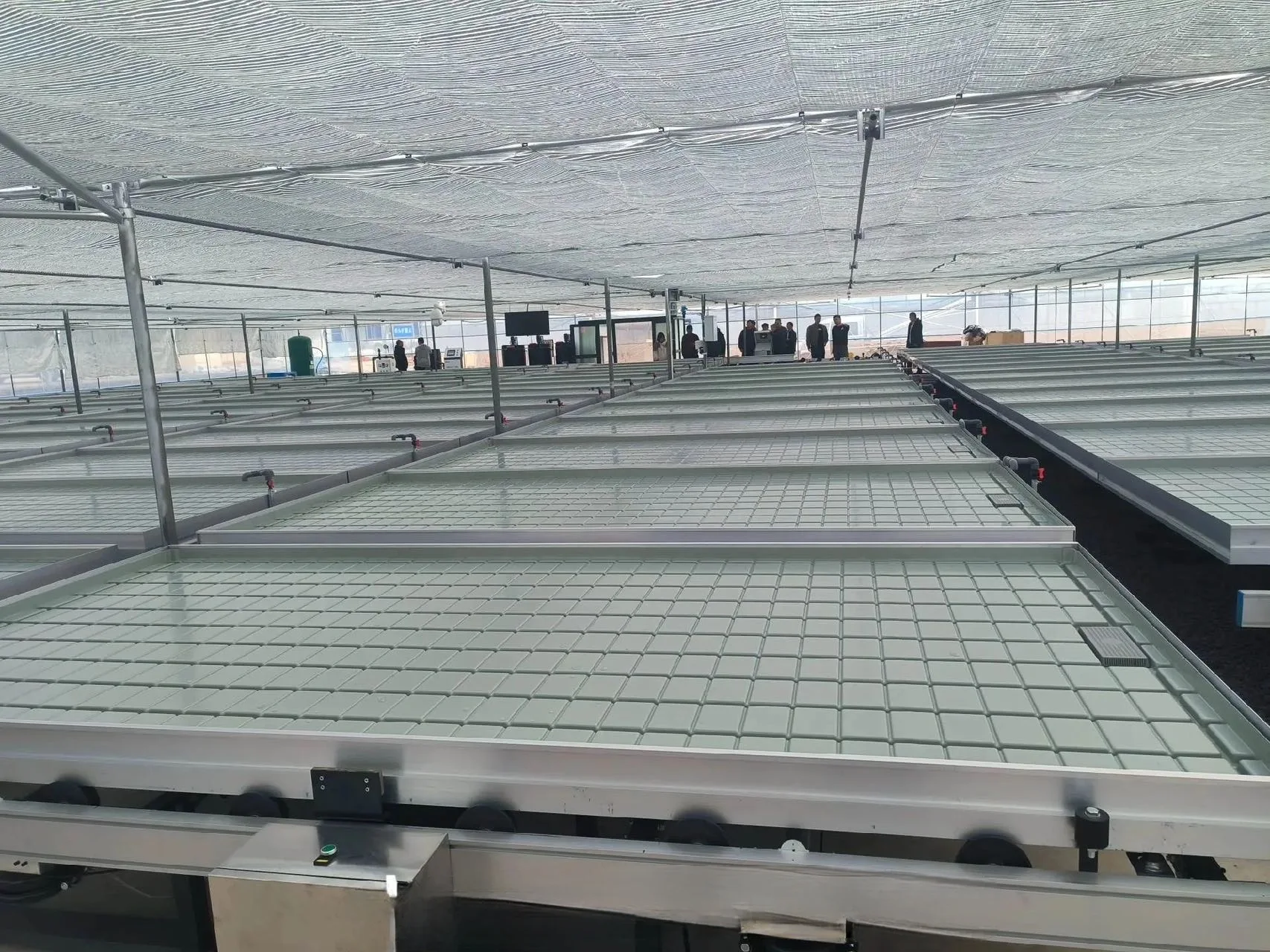 Hydroponic Pot Plant System Vertical Grow Rack and Flow Folling bench Vertical Grow Rack System Grow Trays for Greenhouse