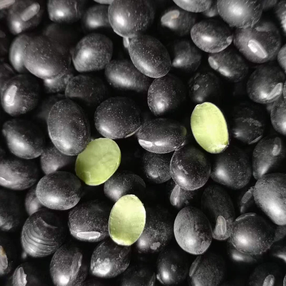 6.5mm Organic Green Kernel Black Turtle and Big Black Soybeans  Dried Black Beans Wholesale