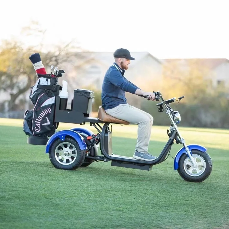 CHINA Haoye cheap cart  tricycle motorcycle  electric scooter  2000w 3 wheel   motorized tricycles citycoco  golf scooter