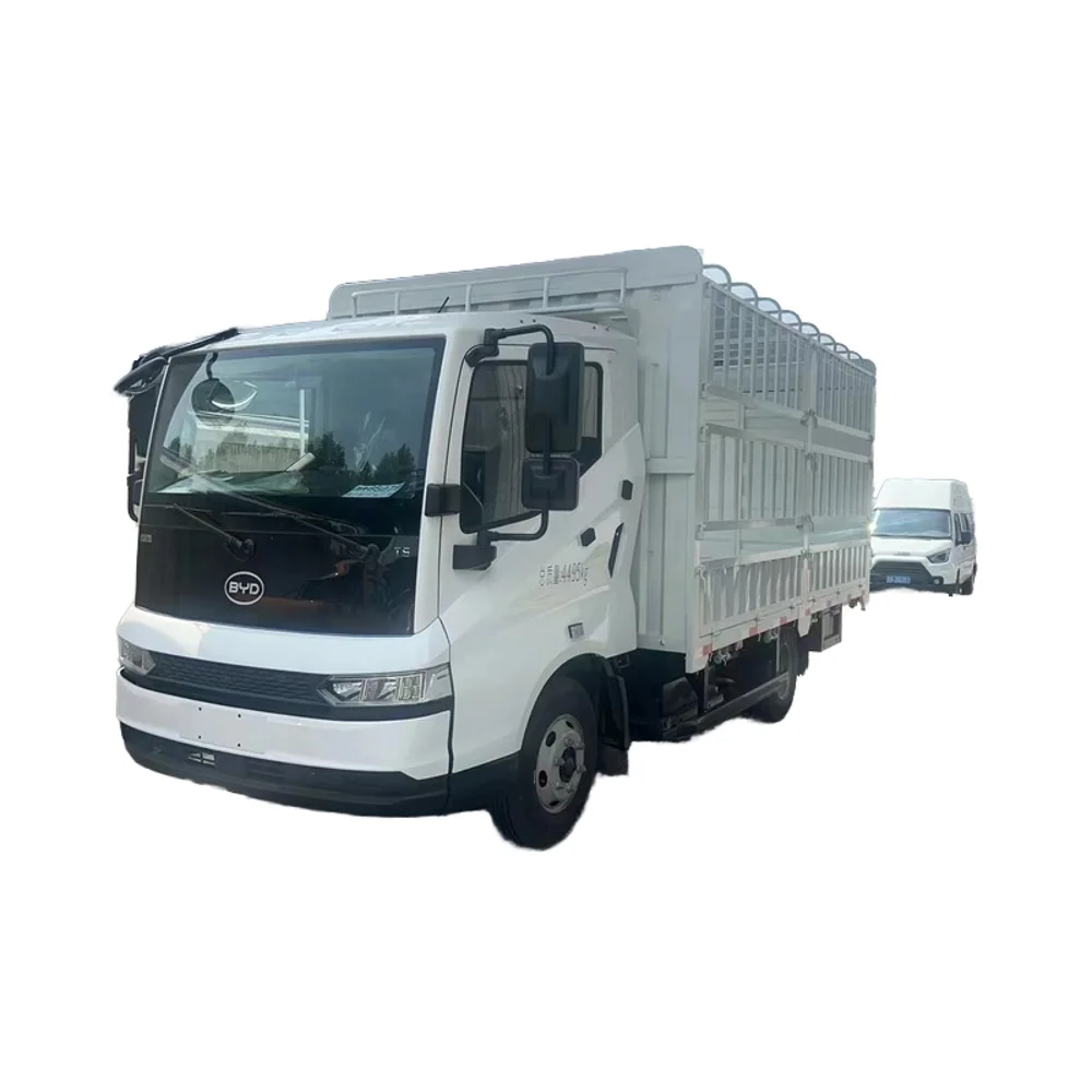 2024 BYD T5DM Electric Cargo Truck Chinese Brand BYD Fruit Vegetable Transport Vehicle 1000KM Endurance Bridge Car Control Can