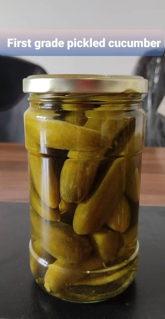 Wholesale Factory Direct Supply First Grade/Premium Pickled Cucumber - High Quality Salted Grapevine Leaves in Jar