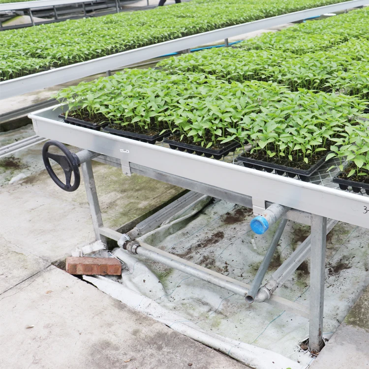 Low Cost Rolling Bench Growing Tables Commercial Plants Wire Mesh Greenhouse Bench
