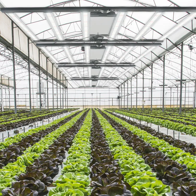 Commercial Horticulture Cob Full Spectrum Led Canna Grow Light Led Dimmable Led Grow 650W Foldable Lights