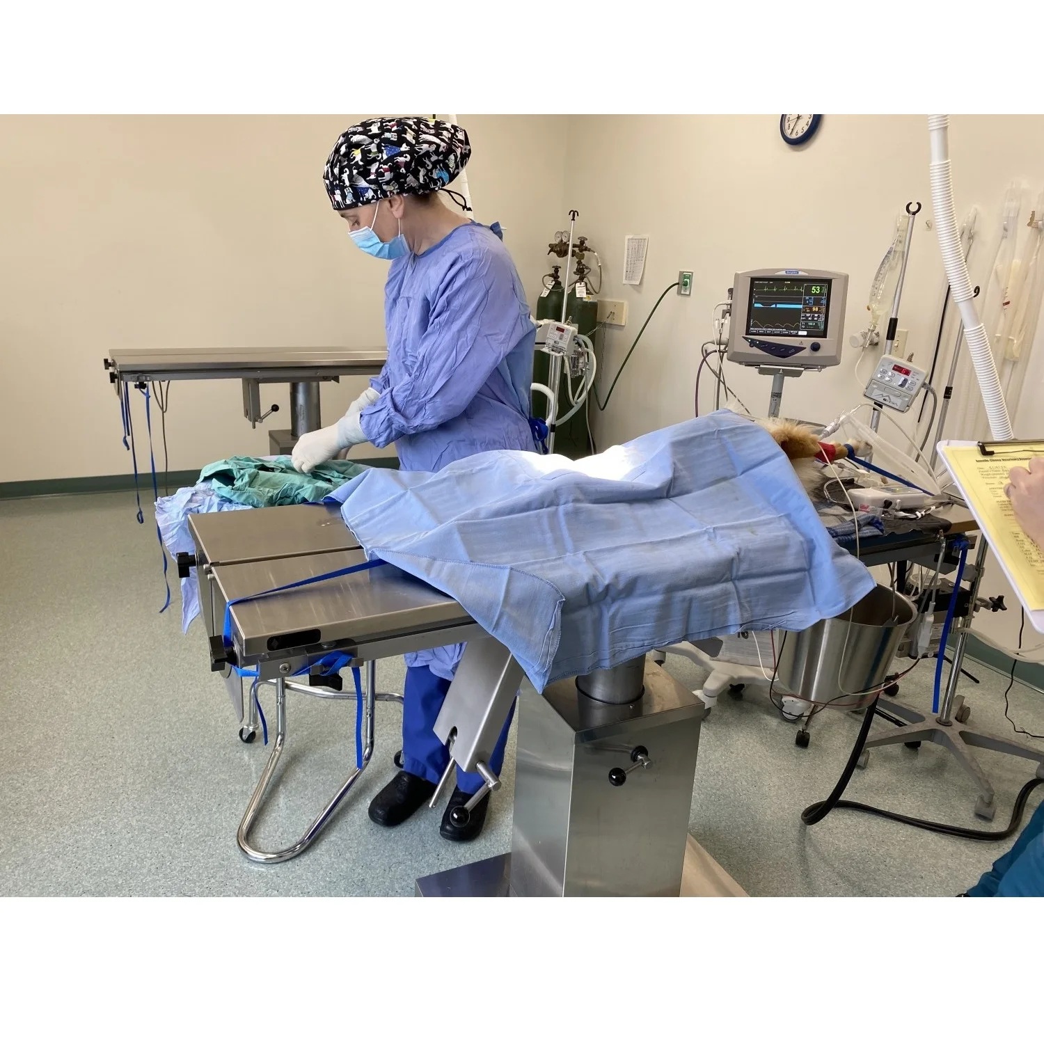 Veterinary  Operation Table Electric Pet Surgical Table for Dogs Cats Cow