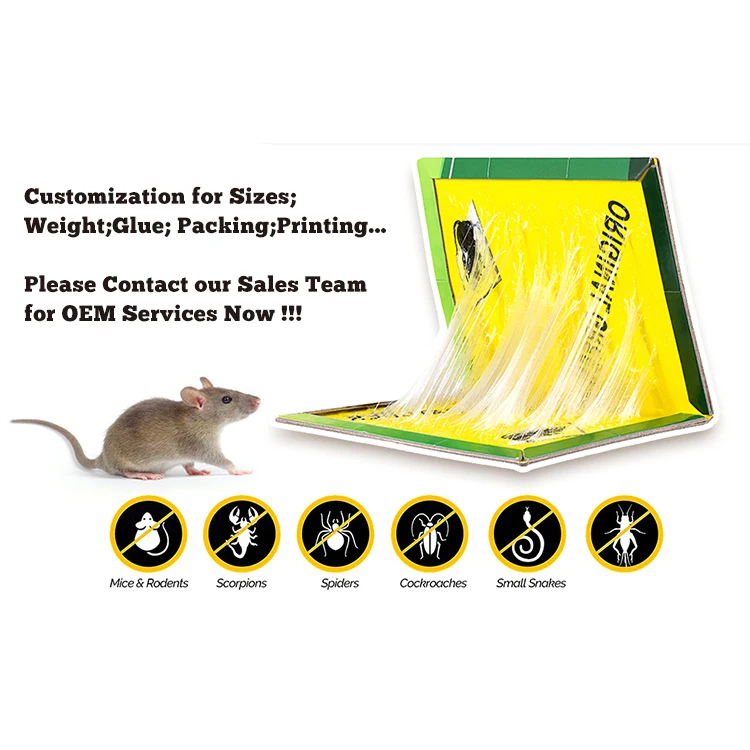 Factory Strong Stickiness Custom Sticky Adhesive Rat Mouse Glue Board Trap