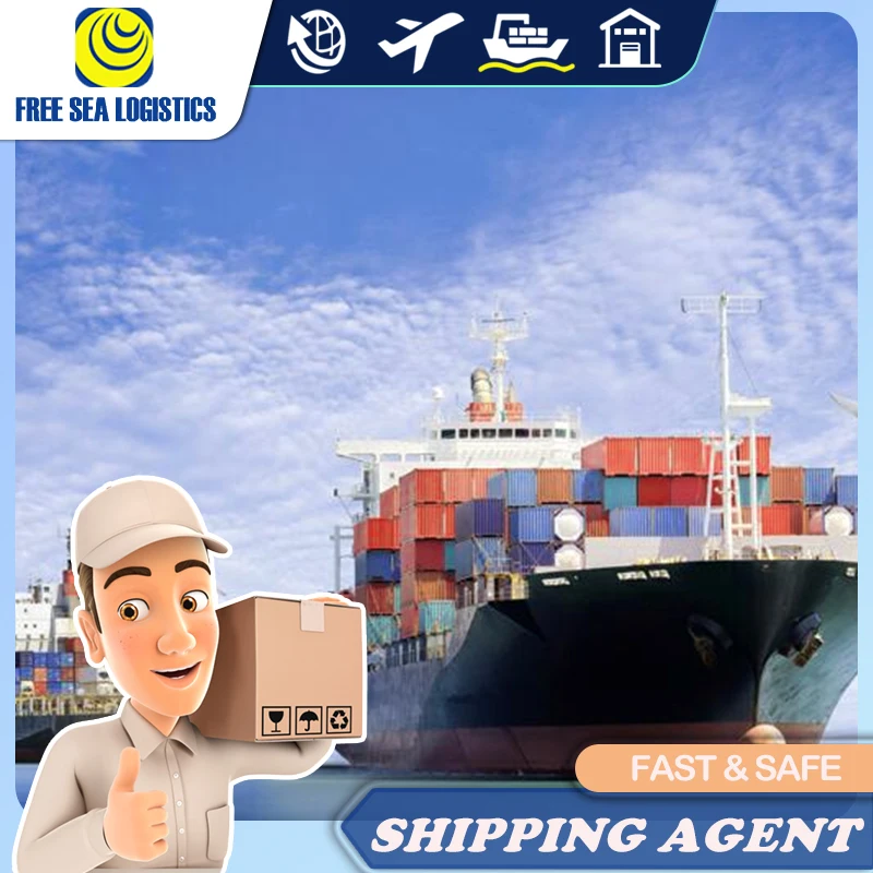 Professional Shenzhen Shipping Agent From China FCL 20GP 40HQ whole container shipping to Mexico Brazil