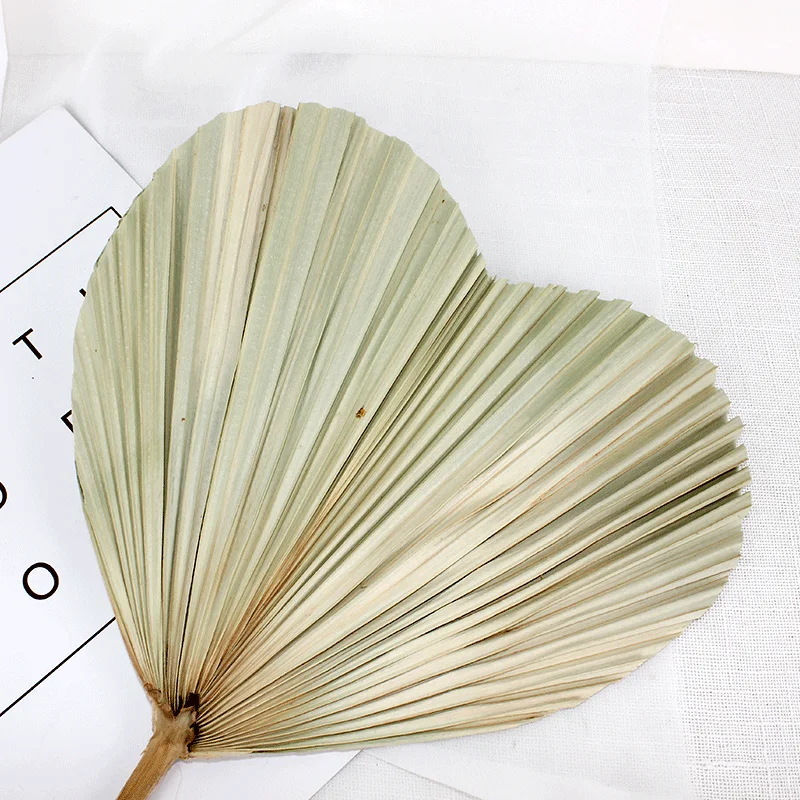 Wholesale wedding decoration natural dry palm leaf plate fan dried flower arrangement palm leaves for wedding decor