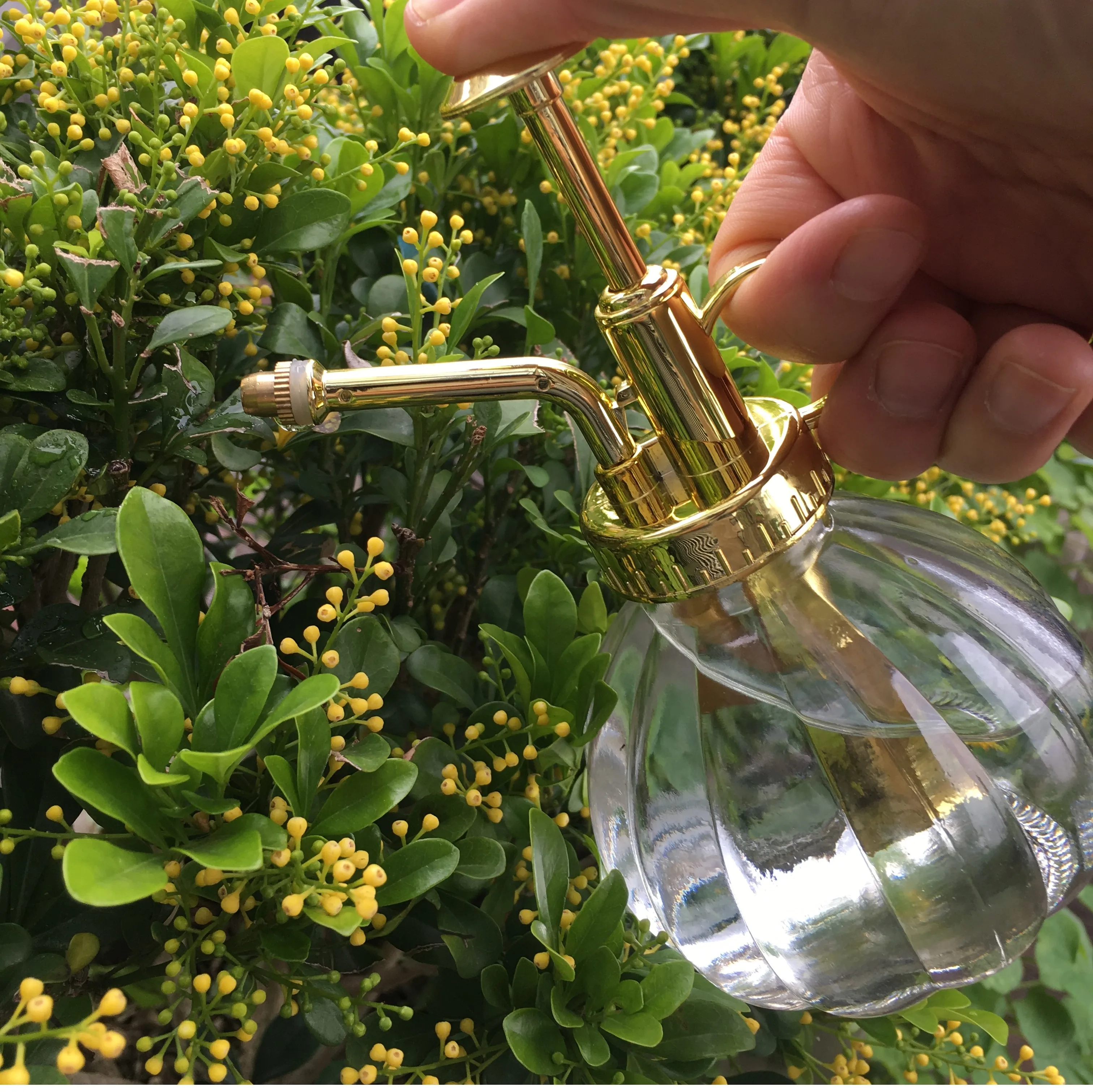 250ml glass pumpkin decorative golden  mini water sprayers  for the plants and flowers home and garden