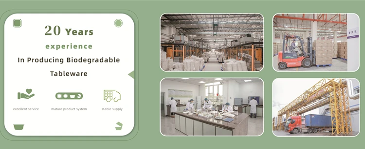 Good Quality Biodegradable Food Trays  Bagasse Disposable Supermarket Fruit Tray Paper