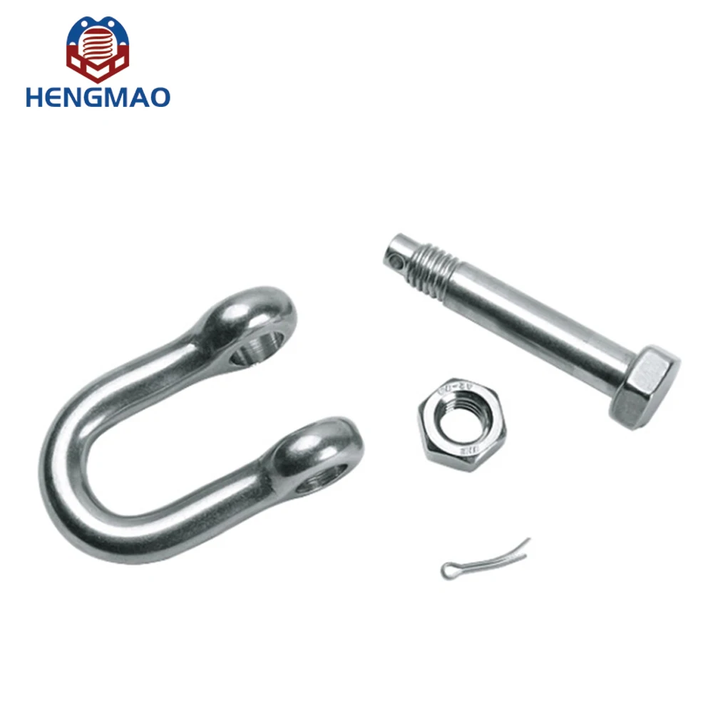 European Type D Ring Shackle Multi-Size Stainless Steel Dee Shackles For Hardware Lifting Industrial Heavy Industry Applications