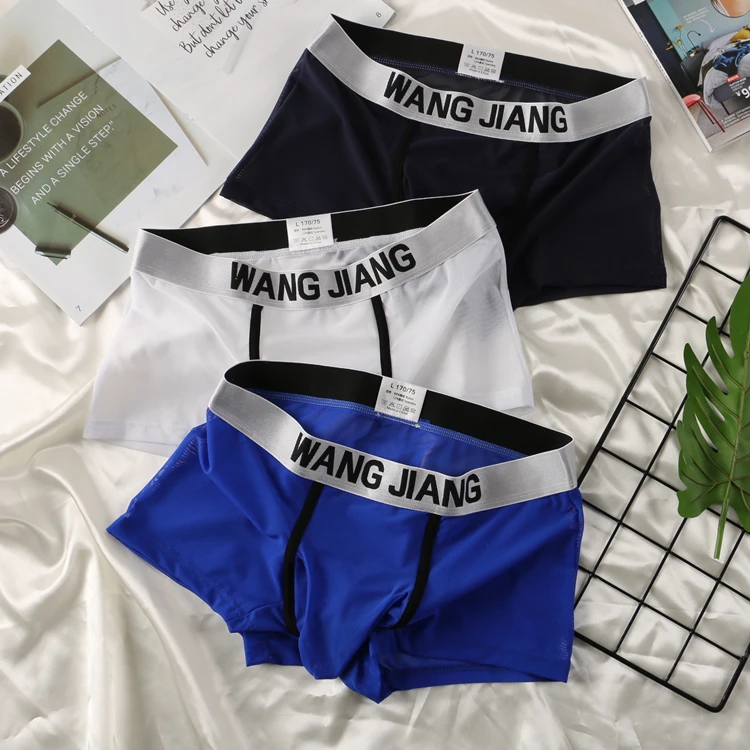 see through gays man elephant nose underwear sexy mesh boxers briefs wholesale