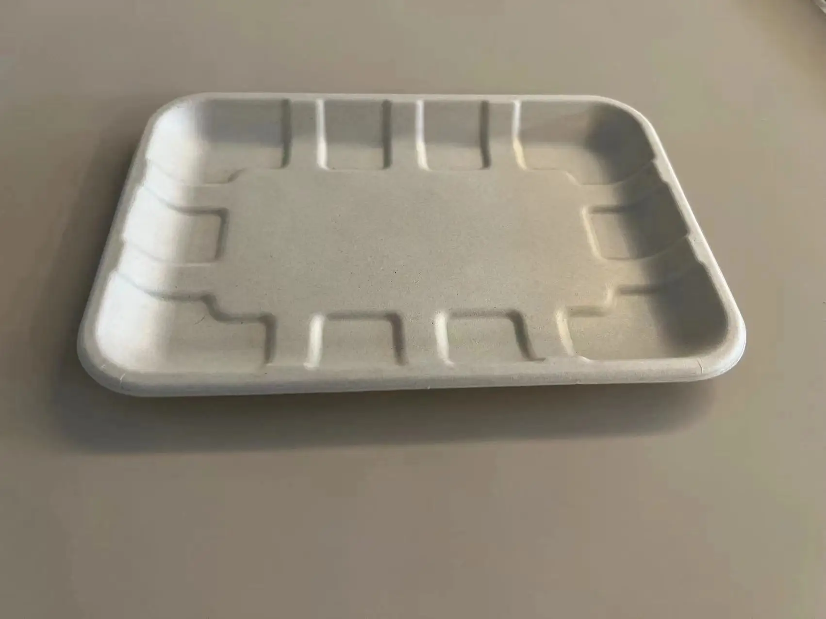 Sugarcane factory hot sale  Disposable Biodegradable Eco-Friendly  food Tray TR2S