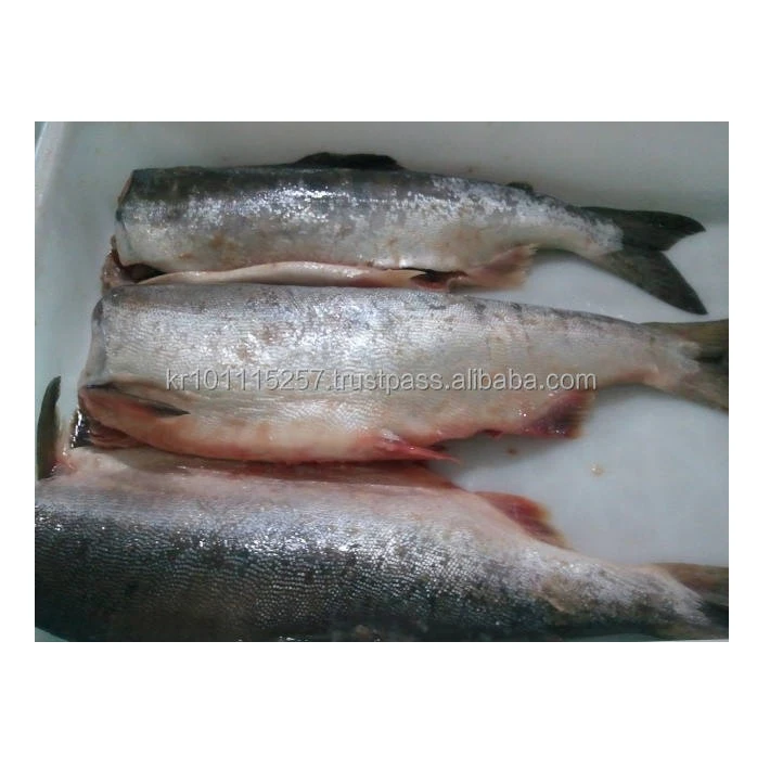 Замороженный Лосось